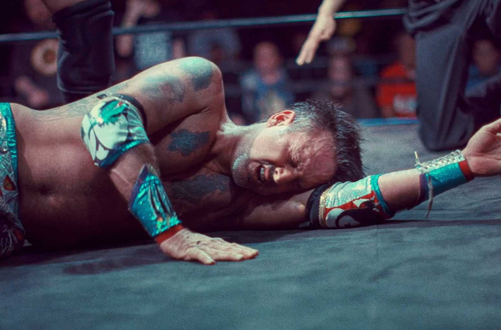You cannot kill david arquette online free 2025