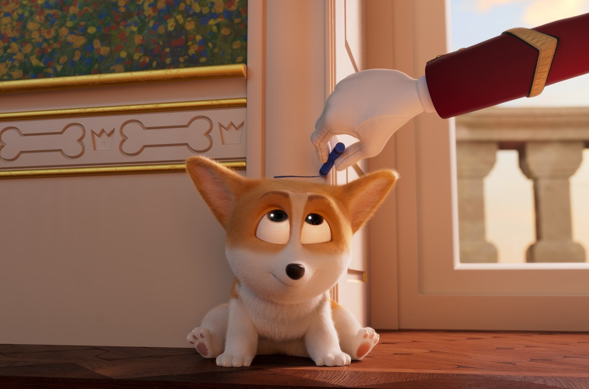 Rex corgi sales
