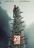 28YL_P