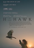 HHawk_P