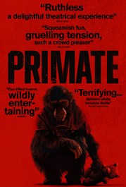 primate p